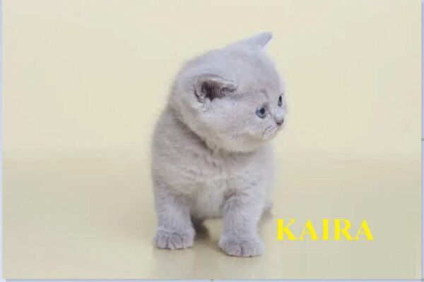 KAIRA